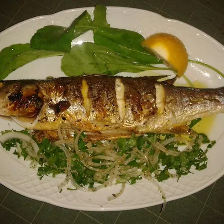 Viraggas Traditional 4* Vrástama