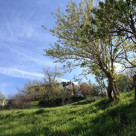 Viraggas Traditional 4* Vrástama