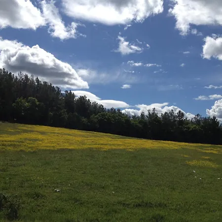 Viraggas Traditional