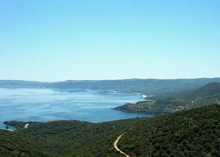 Viraggas Traditional