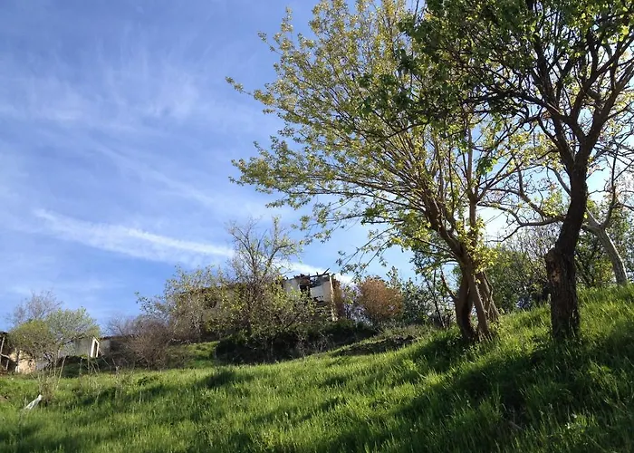 Viraggas Traditional 4* Vrastama