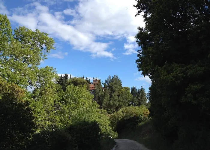 Viraggas Traditional 4*