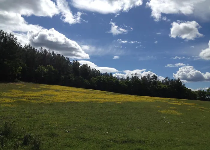 Viraggas Traditional