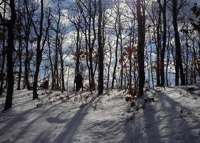 Guest house Viraggas Traditional