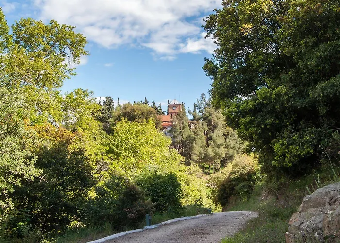 Guest house Viraggas Traditional 4*