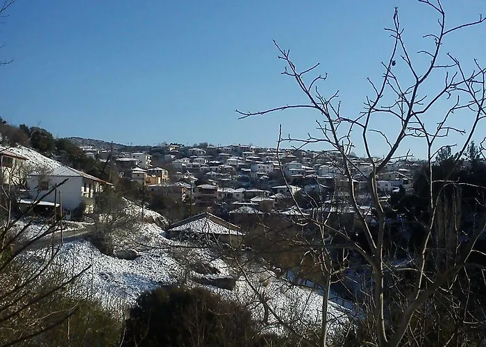 Viraggas Traditional 4* Vrastama