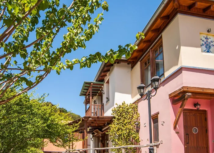 Viraggas Traditional 4*