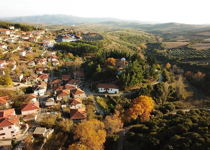 Guest house Viraggas Traditional