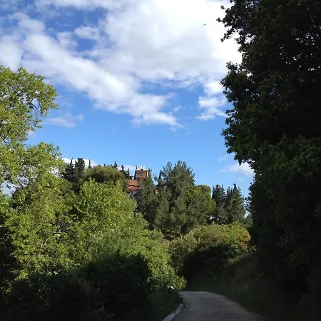 Viraggas Traditional 4*