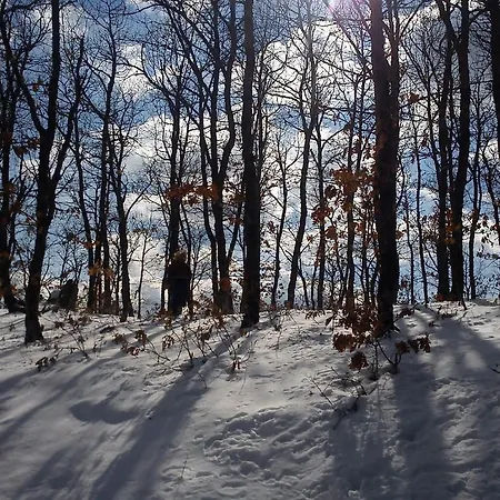 Penzion Viraggas Traditional